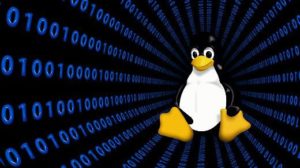 Linux Support