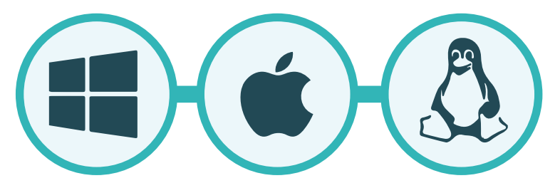 IT Consulting